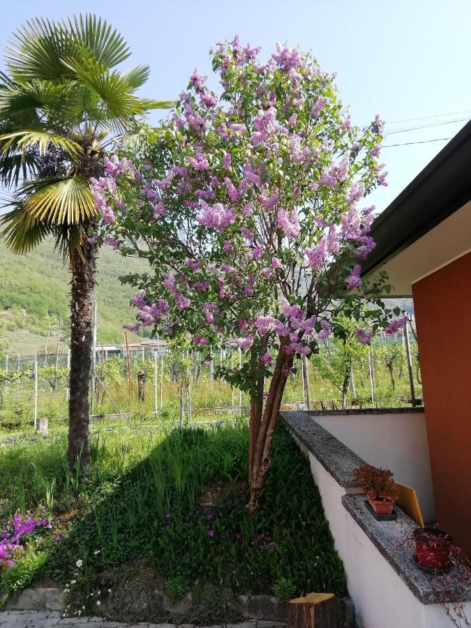 Alloggio Cristina Valdobbiadene Exterior photo